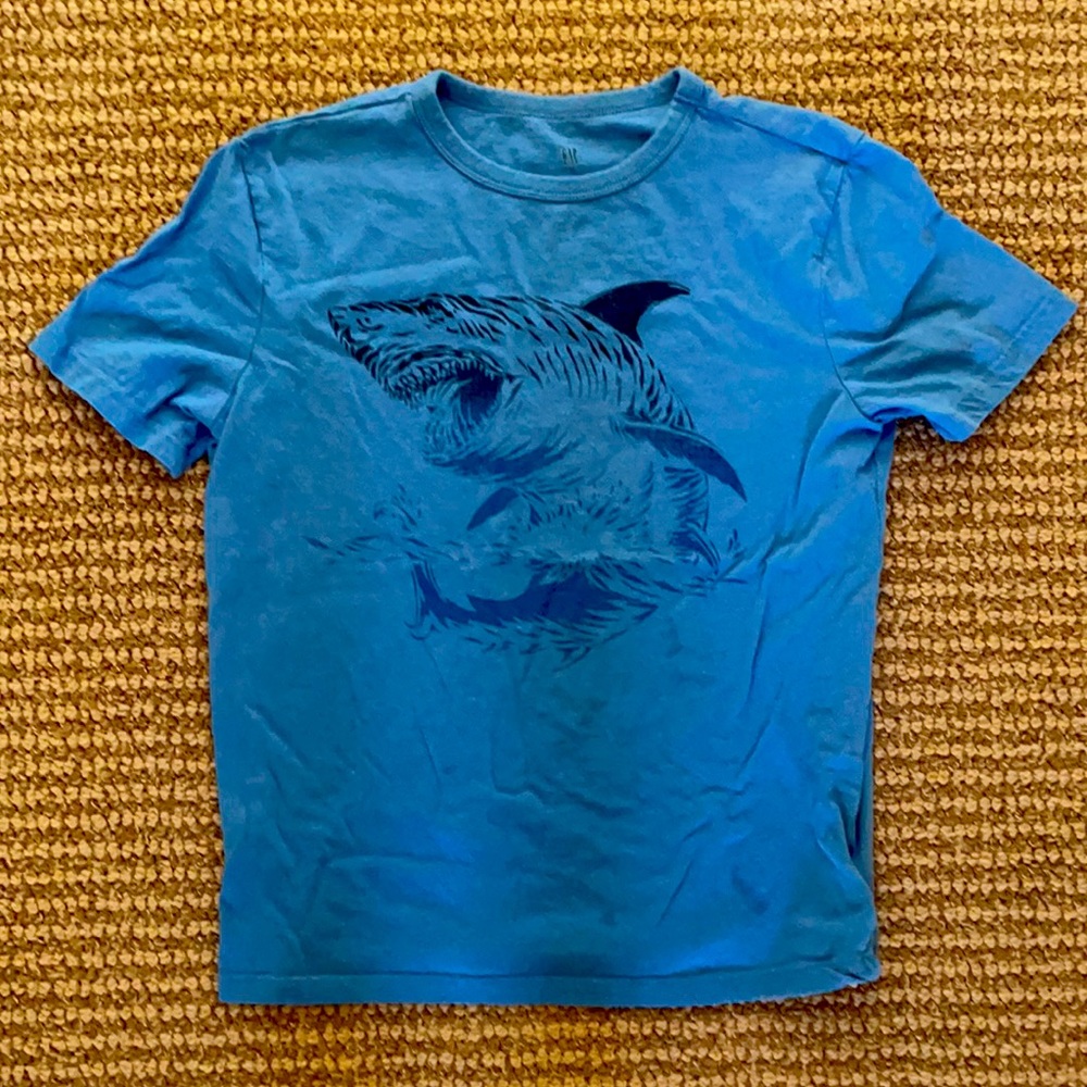 Boy GAP tee shirt